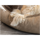 Eine Nahaufnahme von flauschigen Hundepfoten, die auf einem plüschigen, tanfarbenen Hundebett ruhen, das weiches Fell und eine gemütliche Textur zeigt.