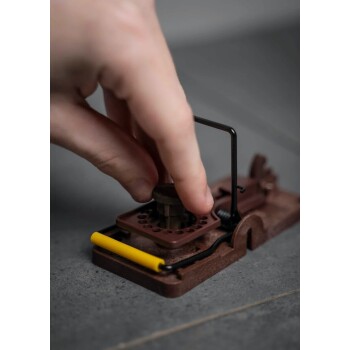 Eine Hand stellt eine braune Mausefalle mit einem gelben Hebel auf einer grauen Oberfläche ein.