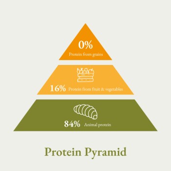 Infografik mit dem Titel "Protein-Pyramide", die Proteinquellen zeigt: 0 % aus Getreide, 16 % aus Obst & Gemüse, 84 % aus tierischem Protein.