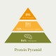 Infografik mit dem Titel "Protein-Pyramide", die Proteinquellen zeigt: 0 % aus Getreide, 16 % aus Obst & Gemüse, 84 % aus tierischem Protein.