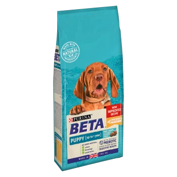 Purina BETA Puppy food bag featuring a brown puppy on the front, highlighting "New Improved Recipe" and "Chicken is #1 Ingredient."
