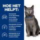 Een grijze kat met felgroene ogen zit rechtop, met een blauwe halsband. Tekst aan de linkerkant schetst voordelen voor de spijsvertering, huidverzorging en pH-balans.