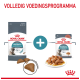 Royal Canin Hairball care kattenvoer verpakking, met droge brokjes en natvoer, met de tekst "Volledig Voedingsprogramma" erboven.