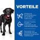 Ein schwarzer Hund mit rotem Halsband steht neben einem blauen Panel, das die Vorteile von Haustierprodukten auflistet: Gewichtsverlust, Omega-3 und Glucosamin.