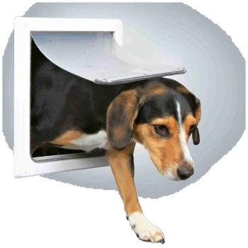 Ein Beagle-Hund tritt durch eine weiße Haustiertür, wobei sein Kopf und seine Vorderpfote sichtbar sind, während er nach draußen geht.