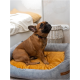 Ein brauner französischer Bulldog sitzt auf einem gemütlichen grauen und gelben Haustierbett und schaut aufmerksam nach oben. Ein geflochtener Korb ist im Hintergrund sichtbar.