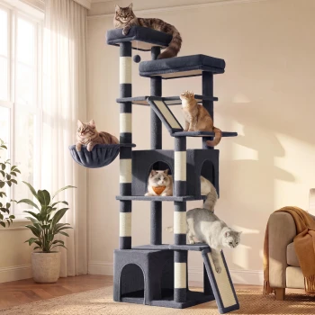 Grauer mehrstufiger Kratzbaum mit Sisalstämmen, Hängematte, Rampen und Höhlen, in denen fünf Katzen in einem sonnenbeschienenen Wohnzimmer sitzen