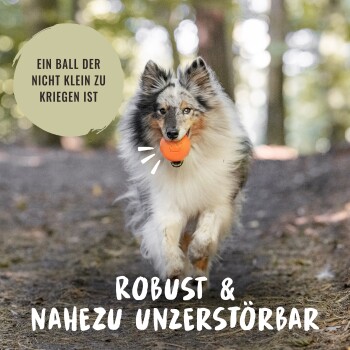 Ein Collie läuft in einem Wald mit einem orangefarbenen Ball im Mund. Text: "Ein Ball der nicht klein zu kriegen ist" und "Robust & nahezu unzerstörbar."