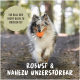 Ein Collie läuft in einem Wald mit einem orangefarbenen Ball im Mund. Text: "Ein Ball der nicht klein zu kriegen ist" und "Robust & nahezu unzerstörbar."