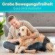 Ein Mann umarmt einen Golden Retriever in einer blauen Windel auf dem Boden eines modernen Wohnzimmers. Der Text darüber sagt: "Große Bewegungsfreiheit Ganz ohne Auslaufen."