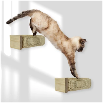 Siamkatze springt zwischen zwei an der Wand montierten Holzkratzbäumen, umwickelt mit Seil, vor weißem Hintergrund.