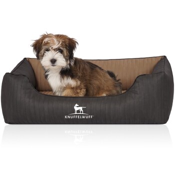 Orthopädisches Hundebett Outback aus laser-gestepptem Kunstleder creme/ schwarz M-L