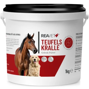 Behälter mit REAVET Teufelskralle Gelenk-Pulver für Haustiere, mit einem Pferd und einem Hund auf dem Etikett, 1 kg Größe.