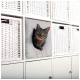 Eine neugierige getigerte Katze schaut aus einem gemütlichen Loch in einem weißen Aufbewahrungseinheit, umgeben von geflochtenen Körben.