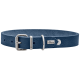 Blauer Lederhundehalsband mit einer silbernen Schnalle und einem kleinen Metallschild mit der Aufschrift "HUNTER."