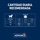 Table montrant les recommandations alimentaires quotidiennes pour les chatons par âge et poids, intitulée "CANTIDAD DIARIA RECOMENDADA" avec le logo "ADVANCE".
