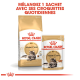 Emballage de nourriture pour chat Royal Canin Maine Coon, comprenant un sac et un sachet, avec une image de chat Maine Coon et un texte promouvant le mélange avec des croquettes quotidiennes.