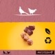 Haustierfutterwürfel in verschiedenen Farben auf einem gelben Hintergrund, mit Silhouetten von Vögeln darüber und Symbolen für pflanzenbasierte und recycelbare Materialien.