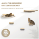 Wandmontierte Holzregale für Katzen und Hängematte mit zwei getigerten Katzen; Text auf Deutsch: AUCH FÜR MEHRERE KATZEN GEEIGNET, BIS 35 KG