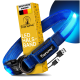 Blaues LED-Hundehalsband von Tierhood, mit einem USB-Ladekabel und Verpackung, mit Farboptionen, die unten angezeigt werden.