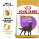 Royal Canin Sterilised Labrador Retriever Hundefuttertüte mit einer Illustration eines braunen Labradors und Text über Rassenernährung und Appetitkontrolle.