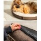 Ein flauschiger Pomeranian entspannt sich auf einem runden Hundebett, während eine Hand den abnehmbaren Bezug aufzippt und das praktische Design hervorhebt.