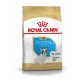 Karma dla szczeniąt Royal Canin dla buldogów francuskich, z obrazkiem szczeniaka, z tekstem podkreślającym żywienie i korzyści zdrowotne specyficzne dla rasy.