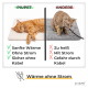 Eine gemütliche graue Katze ruht auf einer selbstheizenden Matte mit der Aufschrift "Wärmereflexion" und "Selbstheizend ohne Strom" für Wärme ohne Elektrizität.