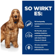Ein goldenes Cocker Spaniel steht neben einem blauen Hintergrund mit "SO WIRKT ES:" und Informationen über hydrolysiertes Protein, Fischöl und präbiotische Fasern.