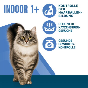 Langhaarige getigerte Katze mit dem Text 'INDOOR 1+' und deutschen Symbolen: Haarballenkontrolle, verringerter Geruch der Katzenstreu, Kontrolle eines gesunden Gewichts.