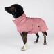 Ein brauner Hund, der einen weichen rosa Hoodie trägt, steht an einem sandigen Strand, mit hohem Gras und einem Holzzaun im Hintergrund.
