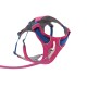 Ein pinkes und blaues Hundegeschirr mit verstellbaren Riemen und einem Metallclip zur Leinenbefestigung, vor einem weißen Hintergrund präsentiert.