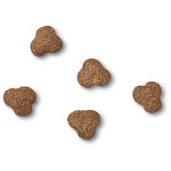 James wellbeloved grain deals free 15kg