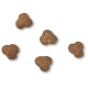 Five brown, kibble-shaped pet food pieces scattered on a white background, resembling small dog bone shapes.