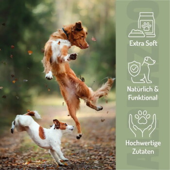 Zwei Hunde springen in einem Wald; grüner Seitenbalken zeigt: Extra Soft; Natürlich & Funktional; Hochwertige Zutaten.