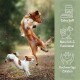 Zwei Hunde springen in einem Wald; grüner Seitenbalken zeigt: Extra Soft; Natürlich & Funktional; Hochwertige Zutaten.