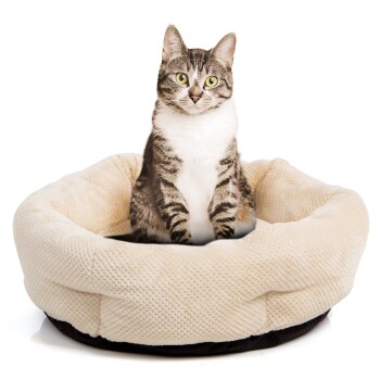 Katzenbett Cloey