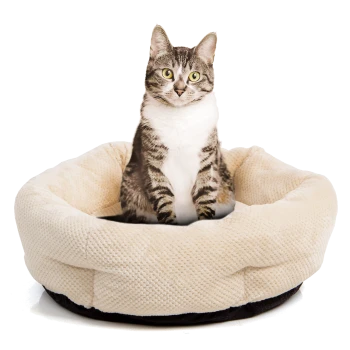 Eine getigerte Katze mit leuchtend grünen Augen sitzt aufrecht in einem plüschigen, cremefarbenen Haustierbett und zeigt seine weiche Textur und runde Form.
