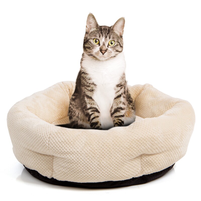 Wallace & Jones Katzenbett Cloey