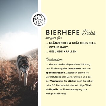 Bierhefe Tabletten 100 Stück