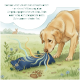 Warnschild mit einem Hund, der ein blaues Spielzeug kaut und beißt, Text auf Deutsch und Englisch: "Nicht als Kau-, Beiß- oder Zerrspielzeug verwenden."