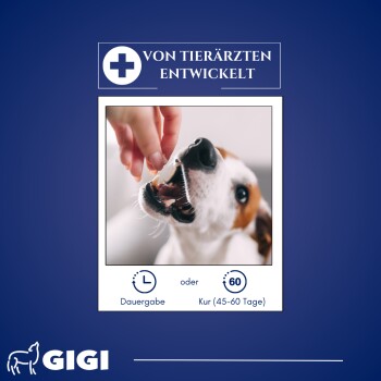 Ein Hund, der begierig nach einem Leckerli aus der Hand einer Person greift, mit dem Text: "Von Tierärzten entwickelt" und Optionen für "Dauergabe" oder "Kur."