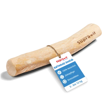 Natürlicher Holzkaustick für Haustiere, mit einer glatten, hellen Oberfläche und abgerundeten Enden, ideal zum Kauen und Spielen.