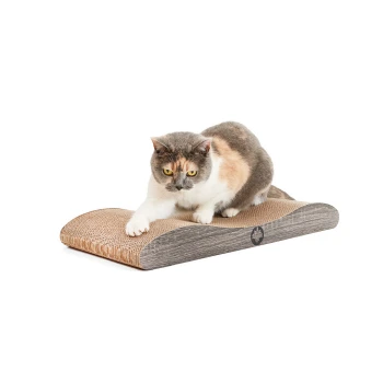 Eine dreifarbige Katze kratzt an einem gebogenen, hölzernen Kratzbaum mit strukturierter Oberfläche, vor einem weißen Hintergrund.