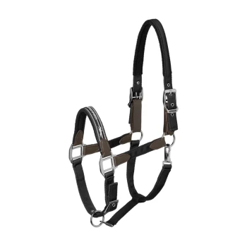 Schwarzes und braunes Haustiergeschirr mit verstellbaren Riemen und metallischen Schnallen, entworfen für Komfort und Kontrolle während der Spaziergänge.