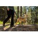 Eine Person in Wanderkleidung führt einen glücklichen Hund an der Leine auf einem sonnenbeschienenen Waldweg, umgeben von Bäumen und Grün.