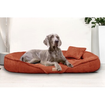Ein grauer Weimaraner-Hund, der auf einem plüschigen, rostfarbenen Hundebett mit einem kleinen passenden Kissen entspannt, vor einem hellen Hintergrund.