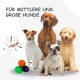 Bild von vier Hunden verschiedener Rassen, mit bunten Quietschbällen davor. Der Text lautet 'FÜR MITTLERE UND GROßE HUNDE'.