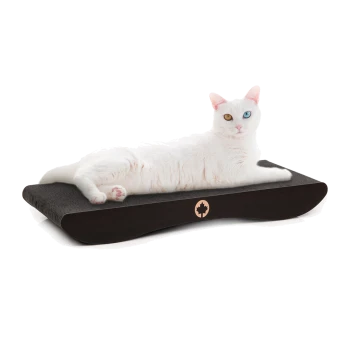 Eine weiße Katze mit Heterochromie (ein blauer, ein goldener Augen) liegt auf einem eleganten, dunklen Haustierbett mit einem Ahornblatt-Logo.