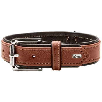 Braunes Leder-Hundehalsband mit einer silbernen Schnalle und Nähdetails, ausgestattet mit einem kleinen 'HUNTER'-Logoschild.